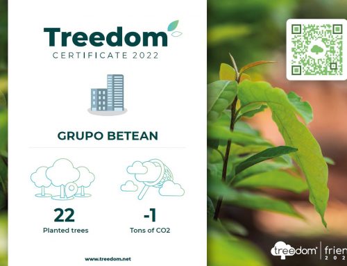 Betean compensa su huella de carbono